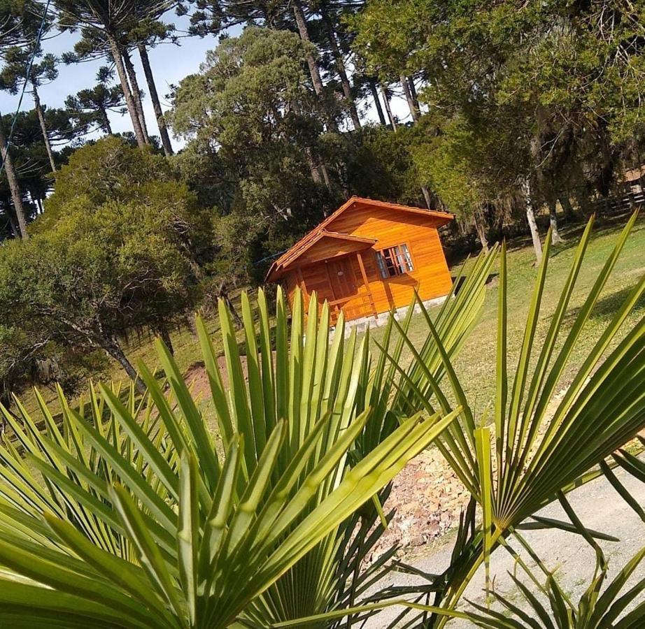 Pousada Recanto Dos Vaga-Lumes Urubici Exteriér fotografie