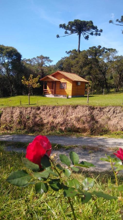 Pousada Recanto Dos Vaga-Lumes Urubici Exteriér fotografie